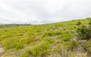 1500 m² Land available in Brackenridge