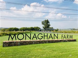 4810 m² Land available in Monaghan Farm