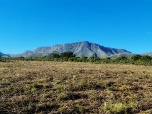 10 ha Farm in Albertinia