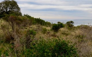 527 m² Land available in Pienaarstrand