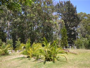 8 ha Farm in Harkerville