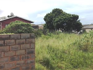 803 m² Land available in Phoenix