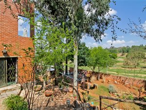 2 Bed House in Observatory