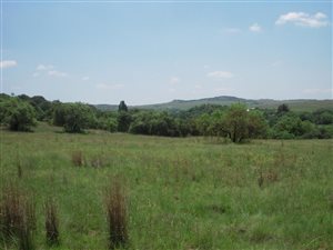 21.4 ha Land available in Doornrandje