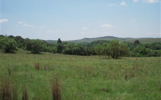21.4 ha Land available in Doornrandje