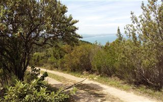 709 m² Land available in Ballots Bay
