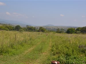25300 ha Smallholding in Lydenburg