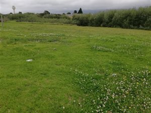 5123 m² Land available in Pacaltsdorp