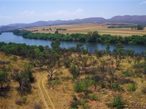 51 ha Farm in Vredefort