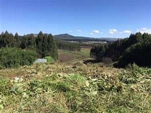 2059 m² Land available in Mountain Homes