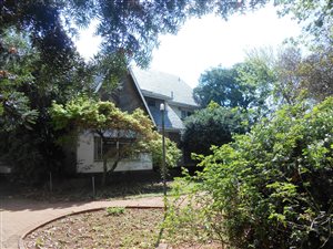 4 Bed House in Arcadia