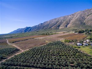 80 ha Farm in Porterville