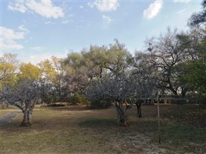 41 ha Farm in Brits