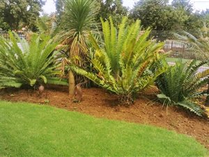 3 Bed House in Roseville
