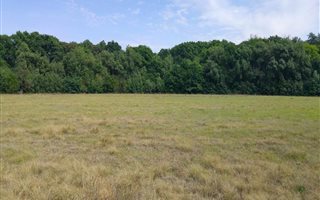 40 ha Farm in Irene