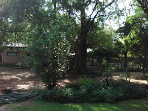 5.8 ha Farm in Mooinooi