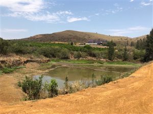 500 ha Farm in Vryheid