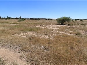 1 ha Land available in Lakeview