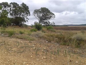 1704 m² Land available in Napier