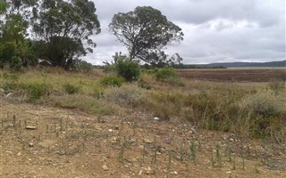 1704 m² Land available in Napier
