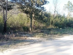 4283 m² Land available in Seaview