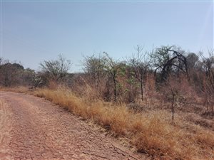 5.3 ha Farm in Donkerhoek