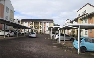 1 Bedroom Apartment in Morningside