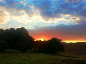 230.3 ha Farm in Lydenburg