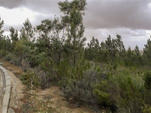575 m² Land available in Caledon