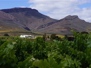 597 ha Farm in Villiersdorp