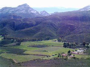 224 ha Farm in Ladismith