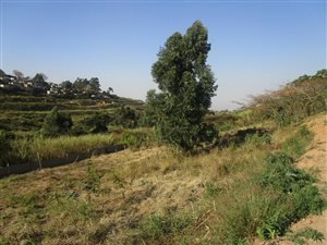 300 m² Land available in Berkshire Downs