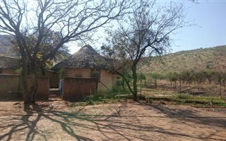 24 ha Farm in Koster