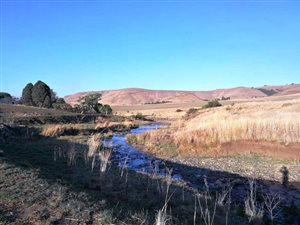 330 ha Farm in Newcastle Central