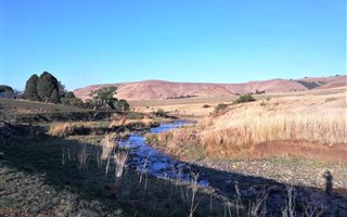 330 ha Farm in Newcastle Central