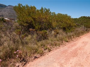 818 m² Land available in Bettys Bay