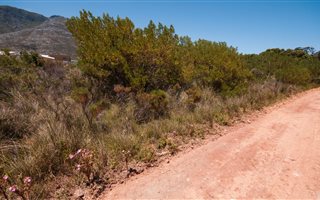 818 m² Land available in Bettys Bay
