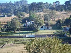 3 Bed House in Drummond