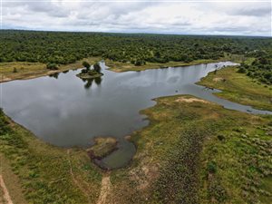 477 ha Farm in Hoedspruit