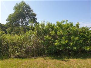 506 m² Land available in Sea Park