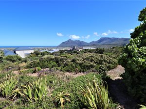652 m² Land available in Fish Hoek
