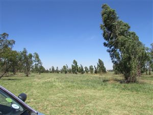 Farm in Geduld