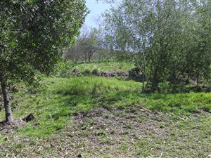 1116 m² Land available in Westford Bridge