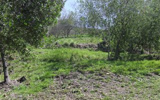 1116 m² Land available in Westford Bridge