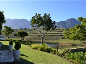 17 ha Farm in Swellendam