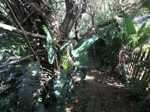 1010 m² Land available in Glen Hills