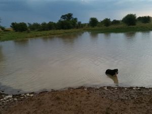 808 ha Farm in Makwassie