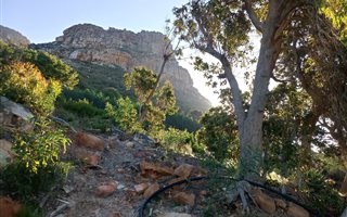 521 m² Land available in Lakeside