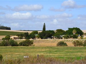 100 ha Farm in Paarl