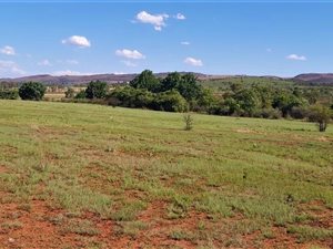 17 ha Land available in Magaliesburg